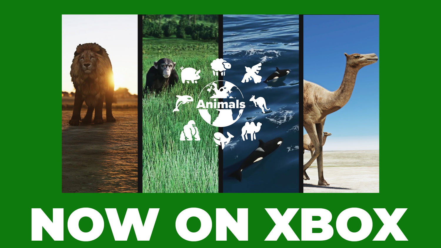 RELEASE: Animals for MSFS Now on Xbox