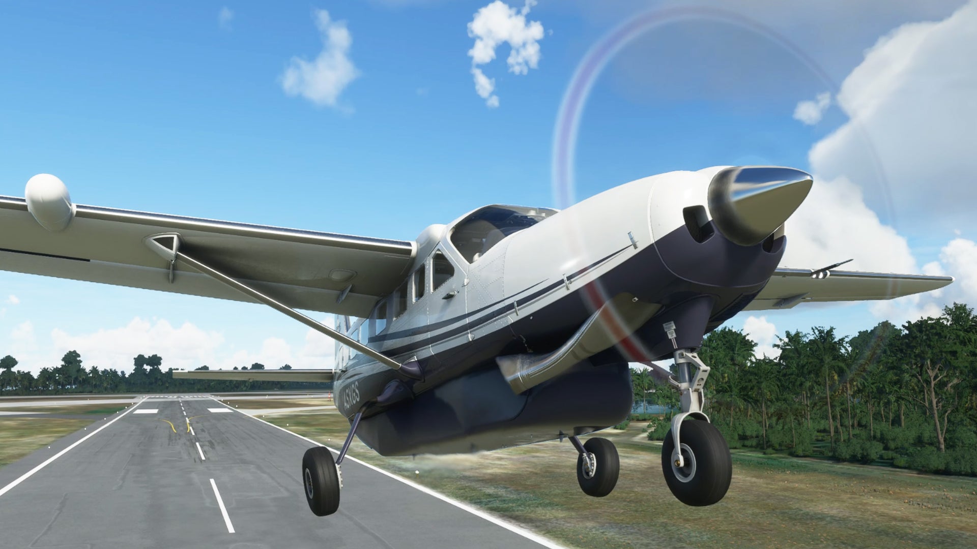 Win Microsoft Flight Simulator + A Guide to Flight Simulator by SoFly