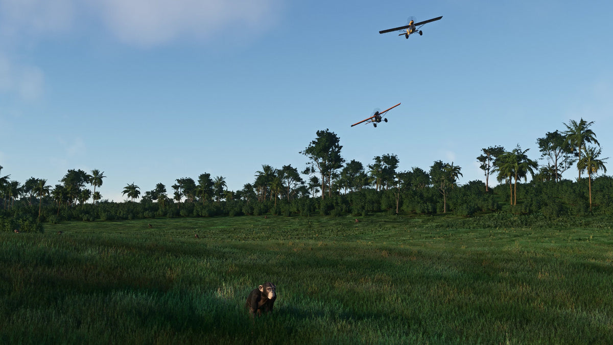 Sofly Scip SoFly - Flight Simulator Guides, Weather, Airports and More