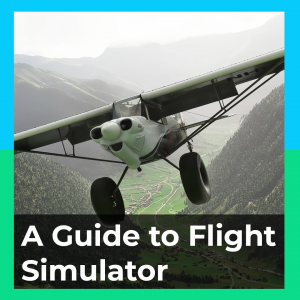 A Guide to Flight Simulator